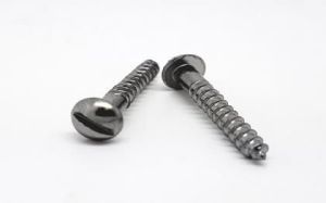 Pan Slotted Screws