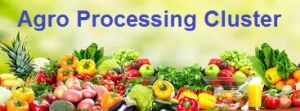 Agro Processing Cluster