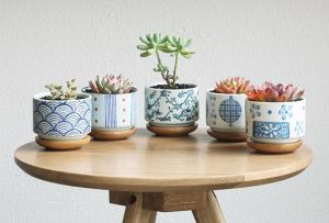 Ceramic Planter