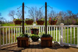 Hanging basket