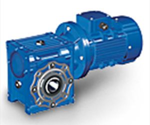 Altra Worm Gearbox