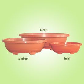 OVAL PLANT POTS