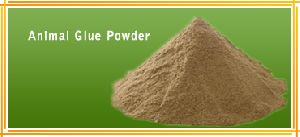glue powder