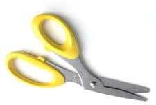 Multi-Purpose Scissors