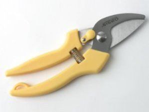 Secateurs