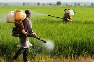 Agro Chemicals