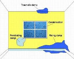 Wall Waterproofing