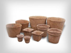 Coir Pots