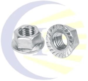 Stainless Steel Flange Nut (SS Flange Nut)