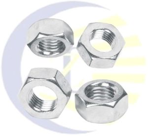 Stainless Steel Hex Nuts