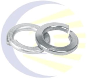 Stainless Steel Spring Washer