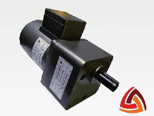 Induction Gear Motor