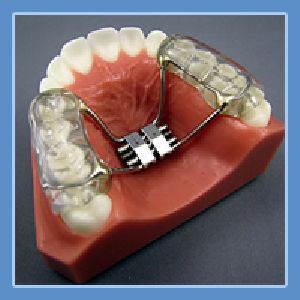 Dental Bonded Hyrax