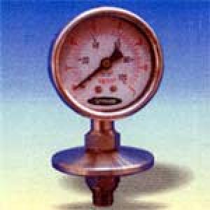 chemical sealed pressure gauge