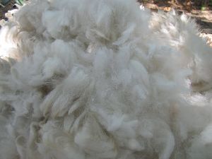 Soft White Fiber