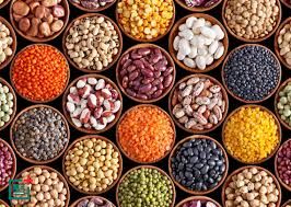 Indian Pulses