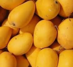 kesar mango