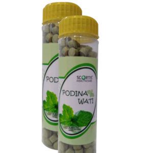 Podina Wati