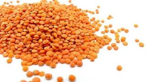 Red Lentils