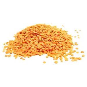 Split Red Lentils