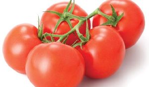 UN 330 F1 Tomato Seeds