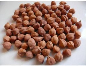 Black Chickpeas