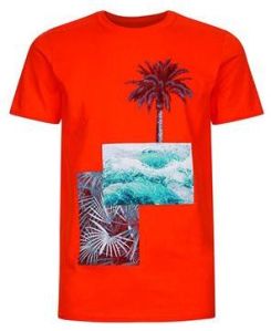 Mens Printed T-shirts