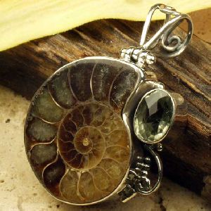 Ammonite Fossil Pendant