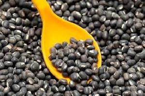 Black Urad Dal