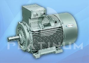 Electric Motor