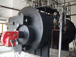 Gas Fired Boiler