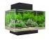 Aquariums LED lighting system