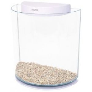 Betta Kit Fish aquarium