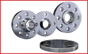 Nimonic Flanges