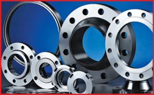 Titanium Flanges