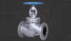 Globe Valves