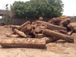 Sudan Round Logs