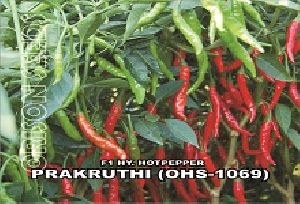 Hybrid Hot pepper
