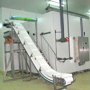 IQF Fluid Bed Freezer