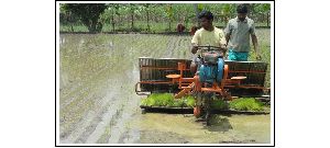 Paddy Transplanter