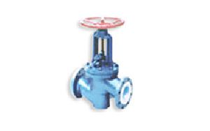 Globe Valve