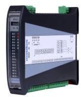 Masibus MINT Field Interface module