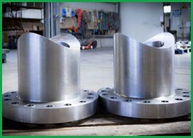 Stainless Steel Flanges