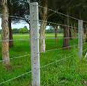 Fencing Pole