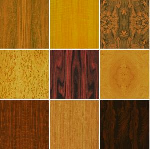 Wood Veneer