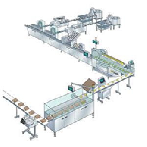 Secondary Packaging Automation Line