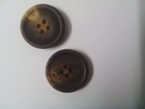 Buffalo Horn Button