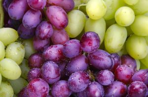 Egyptian Fresh Fruits