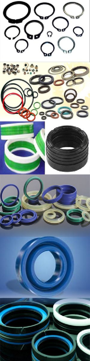 Oring and Oil Seal