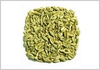 Fennel Seed